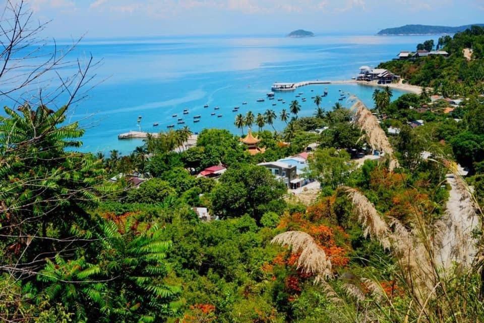 Bai Huong Homestay Hoi An Dış mekan fotoğraf